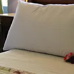 Bed & Breakfast Dei Tigli *