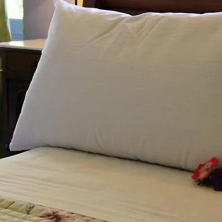 Bed & Breakfast Dei Tigli *