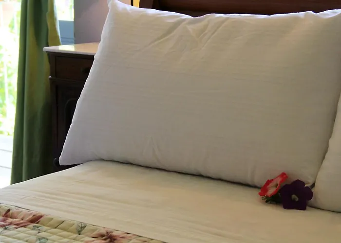 Nocleg ze śniadaniem Dei Tigli *